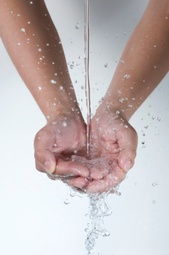 handwash-thumb-170x255-33366.jpg